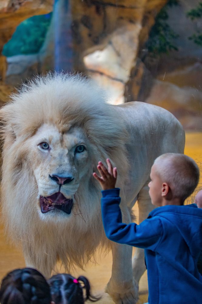 Photograph by Валерий Худынцев