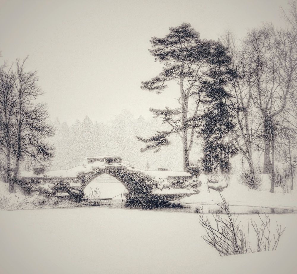 Photograph by Антонина Шабышева