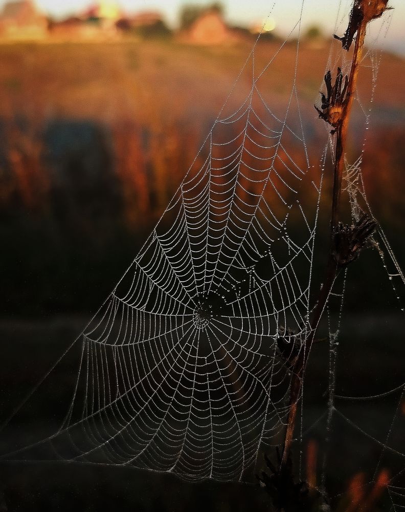 Photograph by Ольга Мартьянова