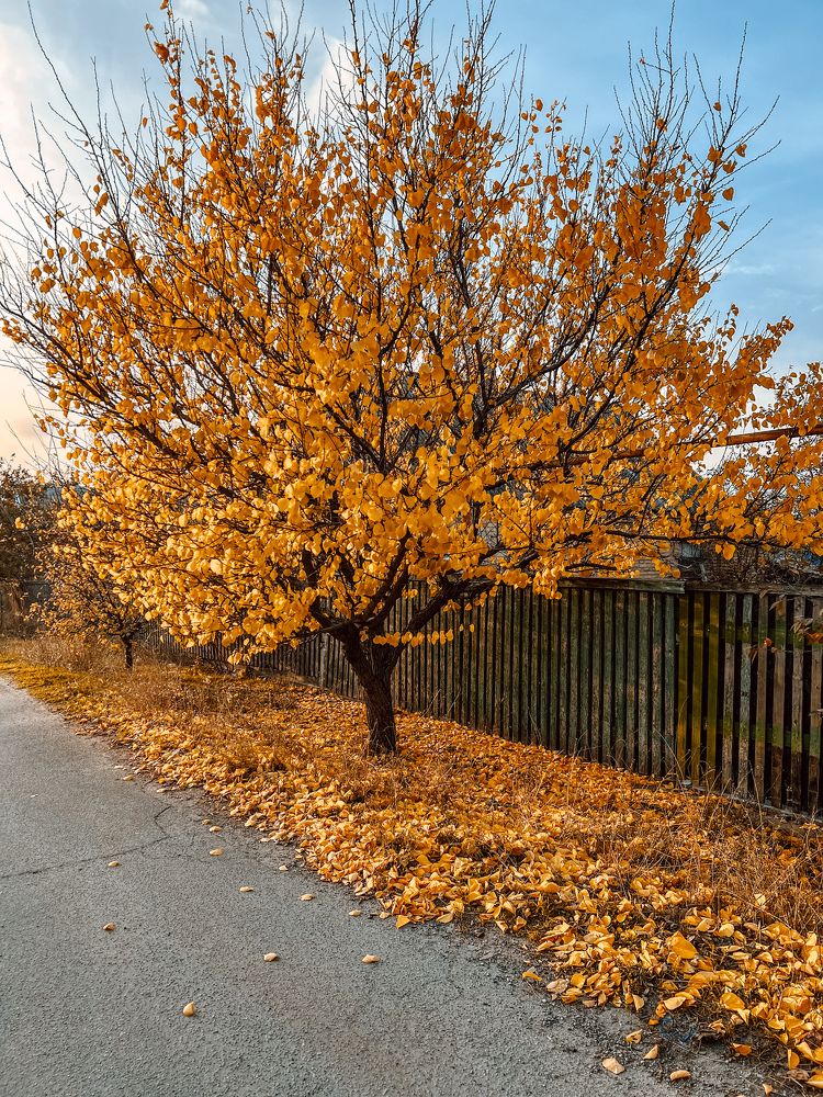 Photograph by Ольга Скиба