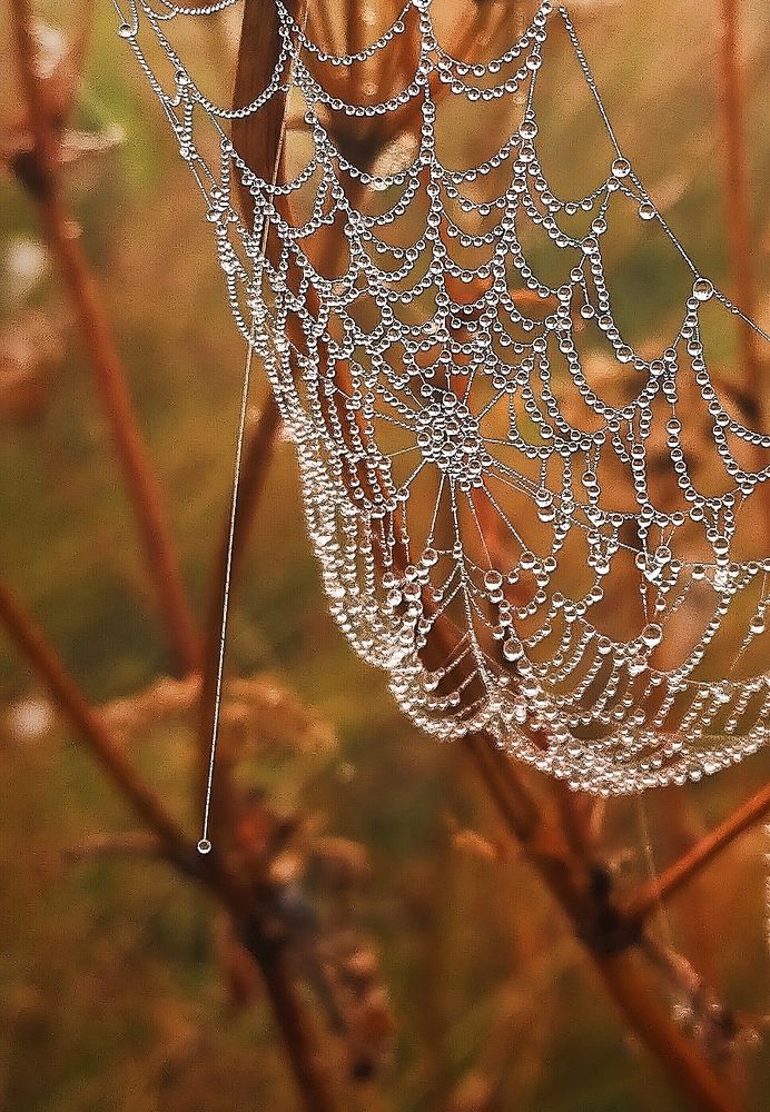 Photograph by Ольга Мартьянова