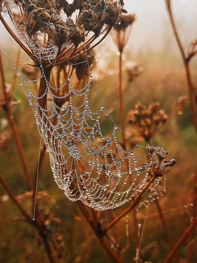 Photograph by Ольга Мартьянова