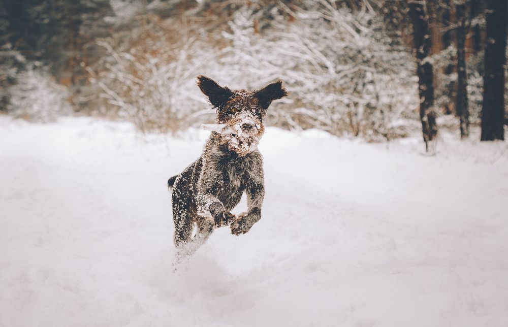 Photograph by Ольга Глущенко
