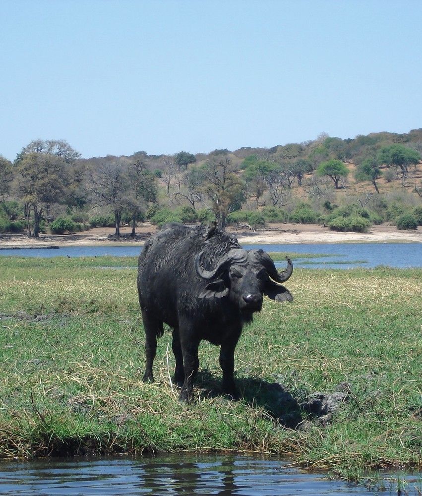 Photograph by Ирина Орлова