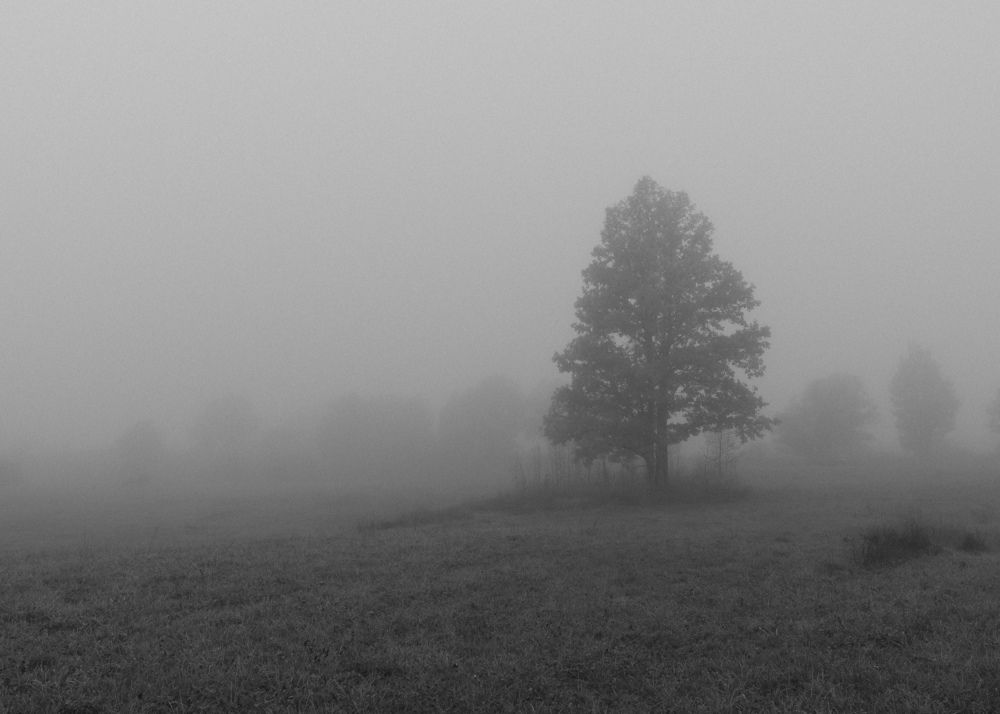 Photograph by Виктория Шажко