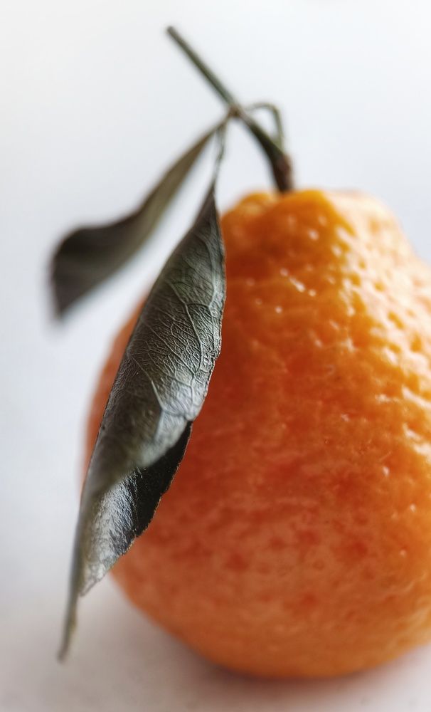 Фотография автора Ольга Кунакова