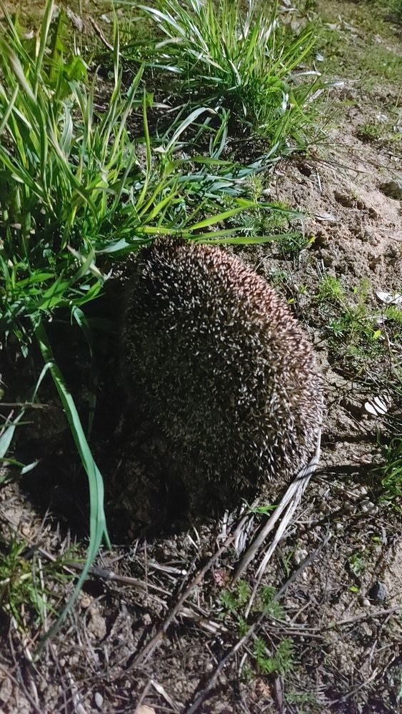 Photograph by ЭЛЬМИРА  ИСМАИЛОВА