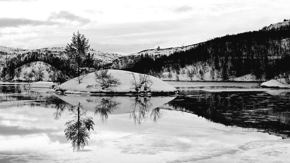 Photograph by Анна Семенова