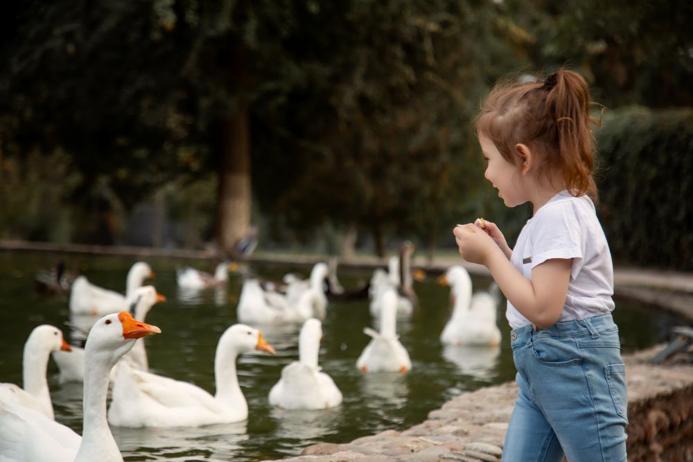 Photograph by Нигина Назарова