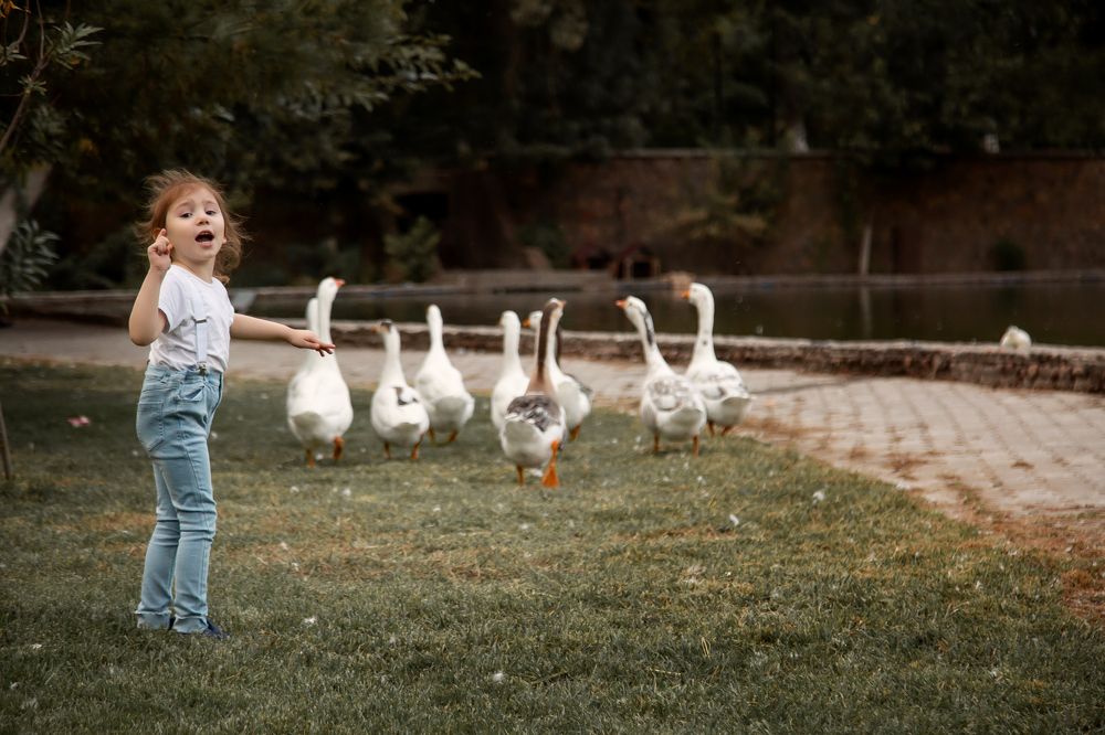 Photograph by Нигина Назарова