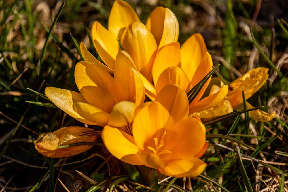 Photograph by Nikolai Barchan