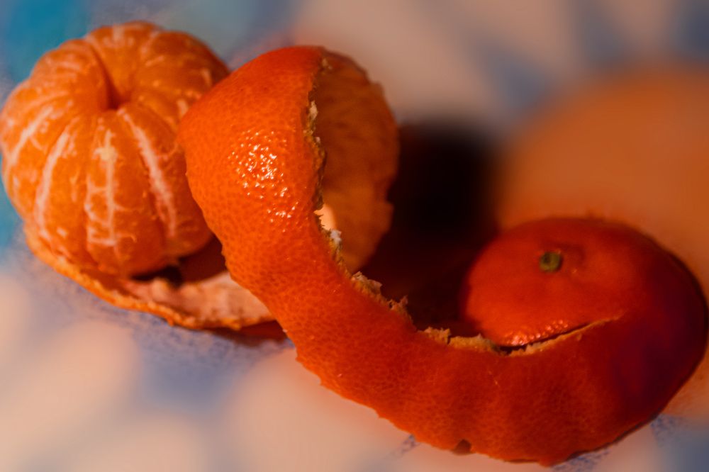 Photograph by Nikolai Barchan