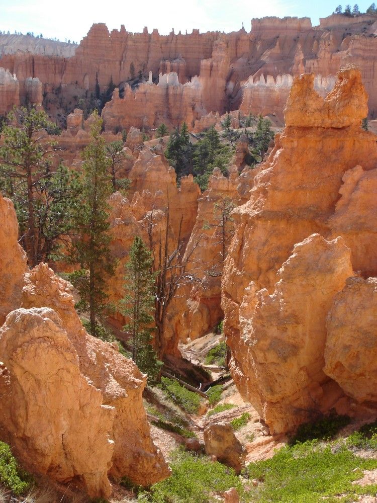 Photograph by Ирина Орлова