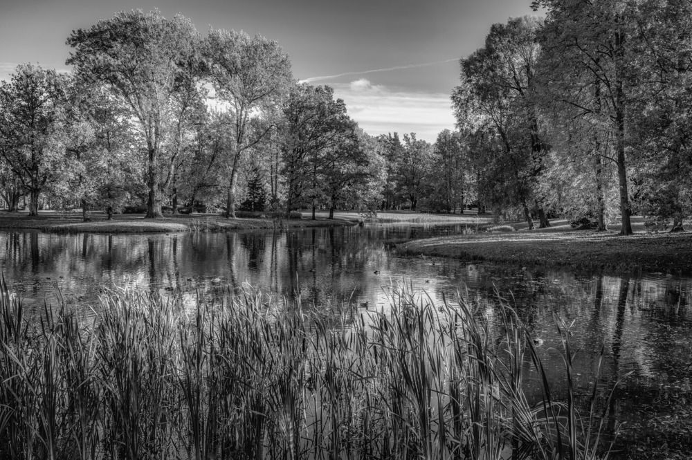 Фотография автора Васильев Андрей