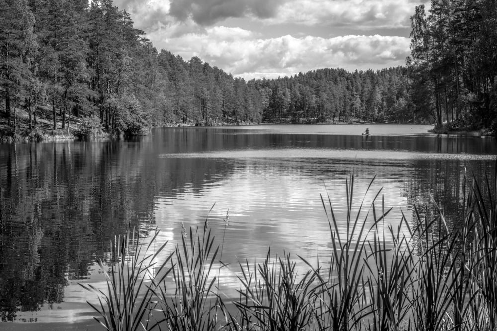 Фотография автора Васильев Андрей