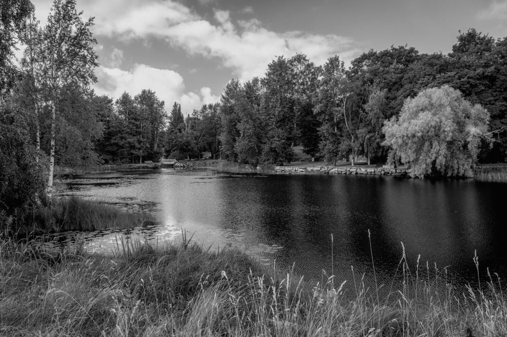 Фотография автора Васильев Андрей