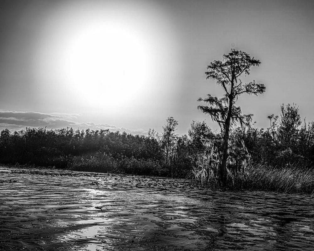 Фотография автора Ray Asiala