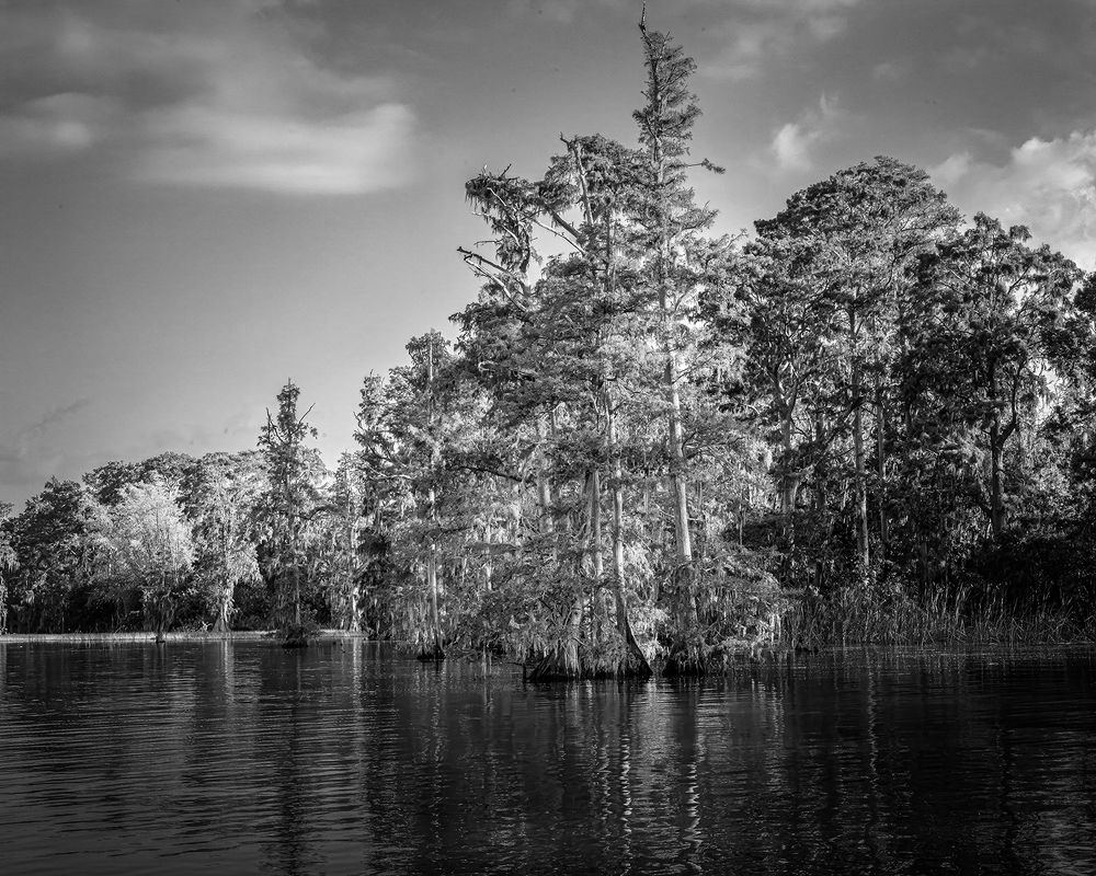 Фотография автора Ray Asiala