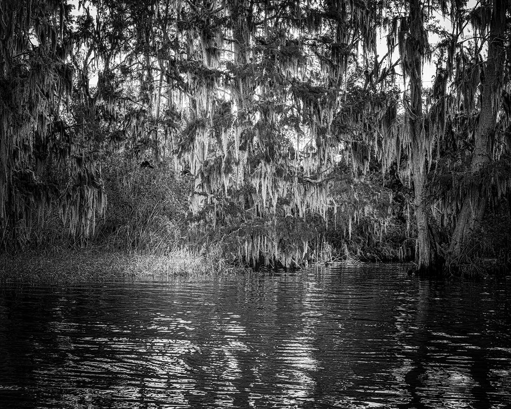 Фотография автора Ray Asiala