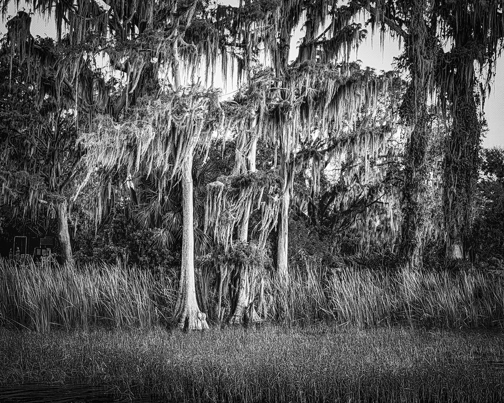 Фотография автора Ray Asiala