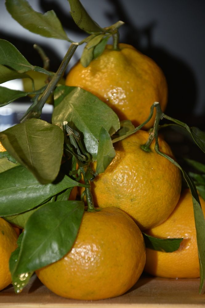 Photograph by Юлия Ю.