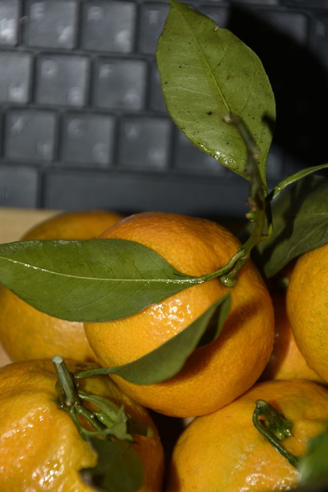 Photograph by Юлия Ю.