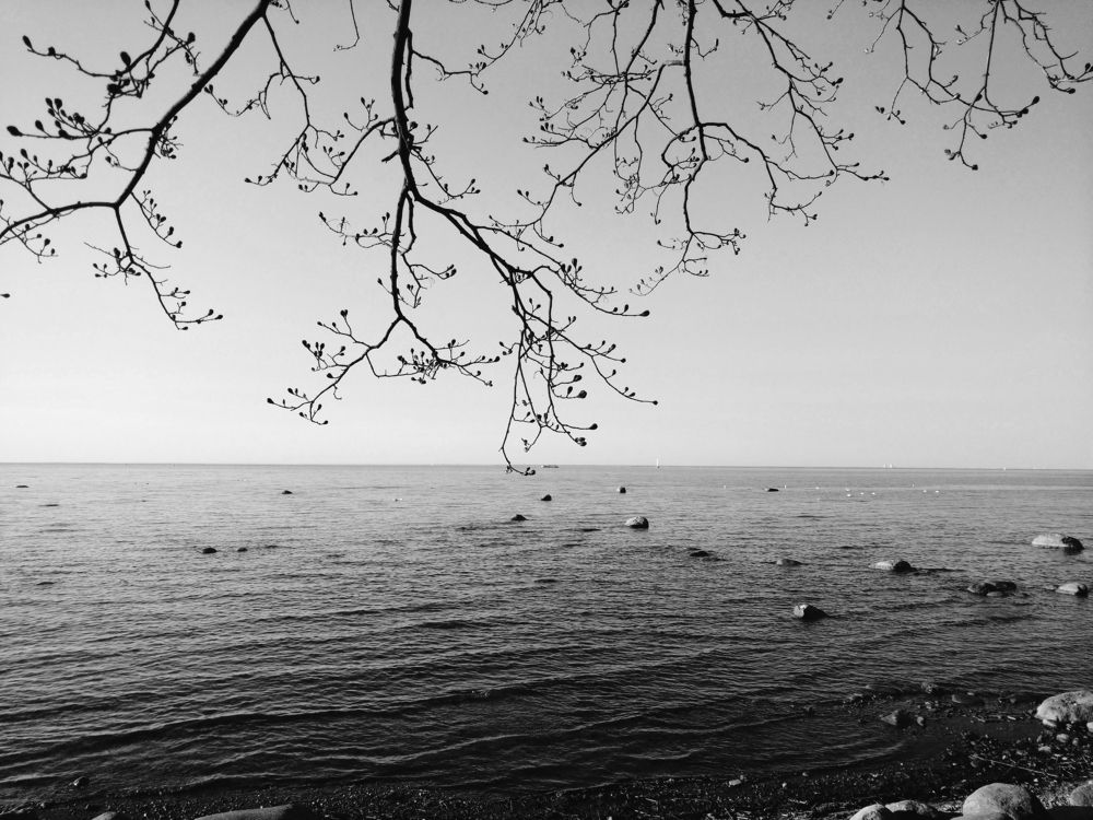 Photograph by Екатерина Кузнецова