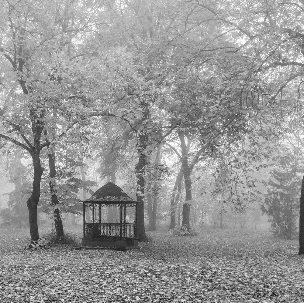 Photograph by Екатерина Кузнецова