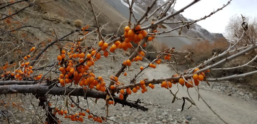 Photograph by Ishaq Karim