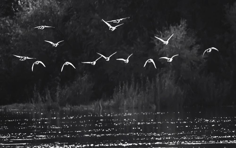 Photograph by Александр Вольхин