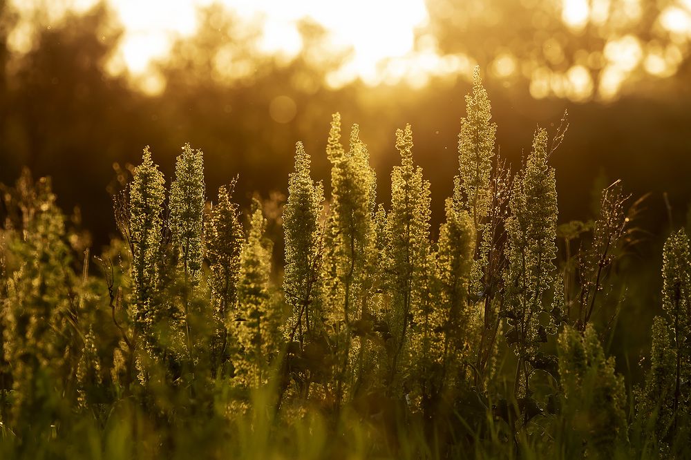 Photograph by Рихард Мисан