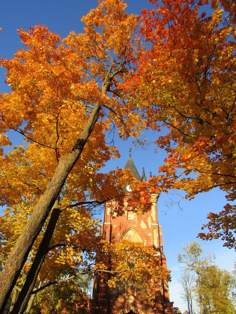 Photograph by Татьяна Смирнова