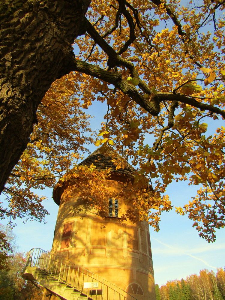 Photograph by Татьяна Смирнова