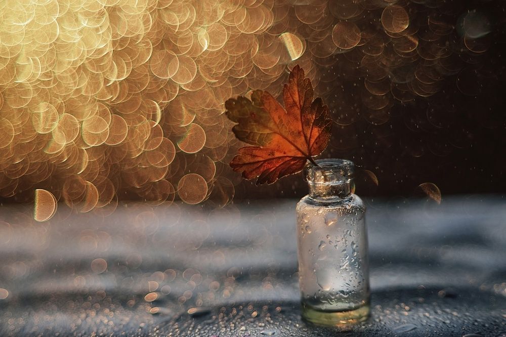 Photograph by Лапшина Владлена