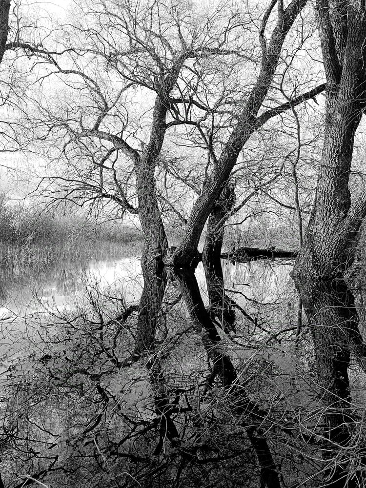 Photograph by Olga Kot