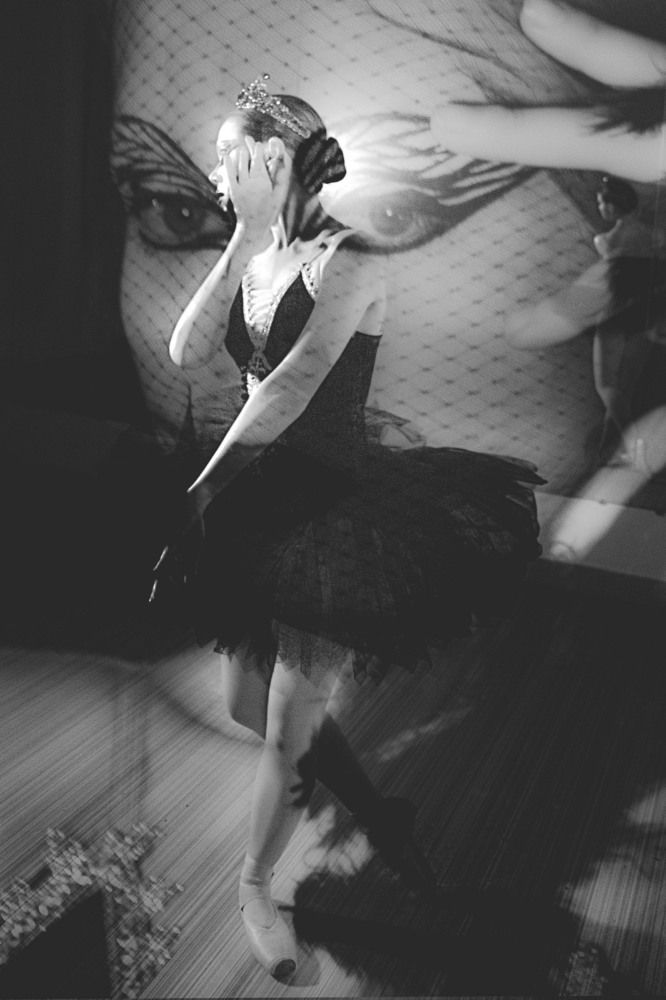 Черный лебедь