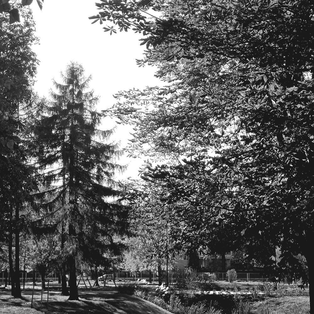 Фотография автора Maks Lanister