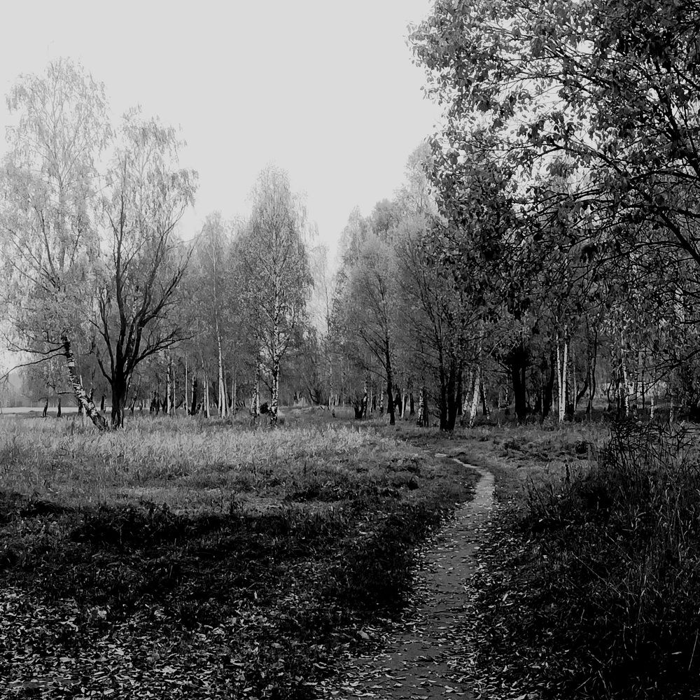 Фотография автора Maks Lanister