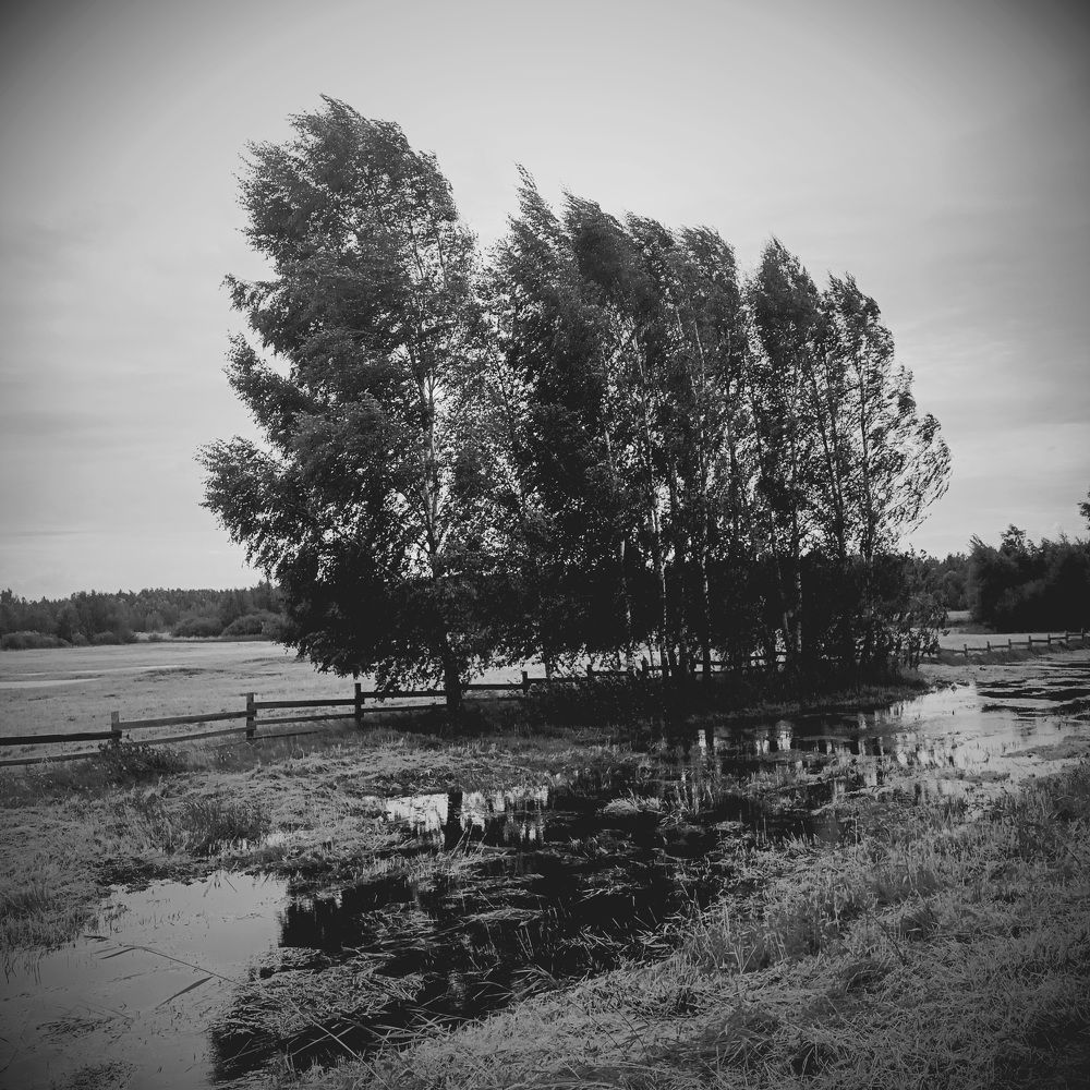 Фотография автора Maks Lanister