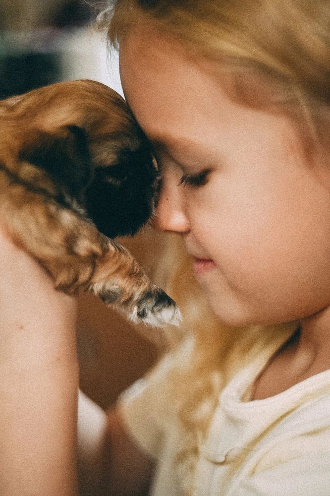 Photograph by Маргарита Поганова