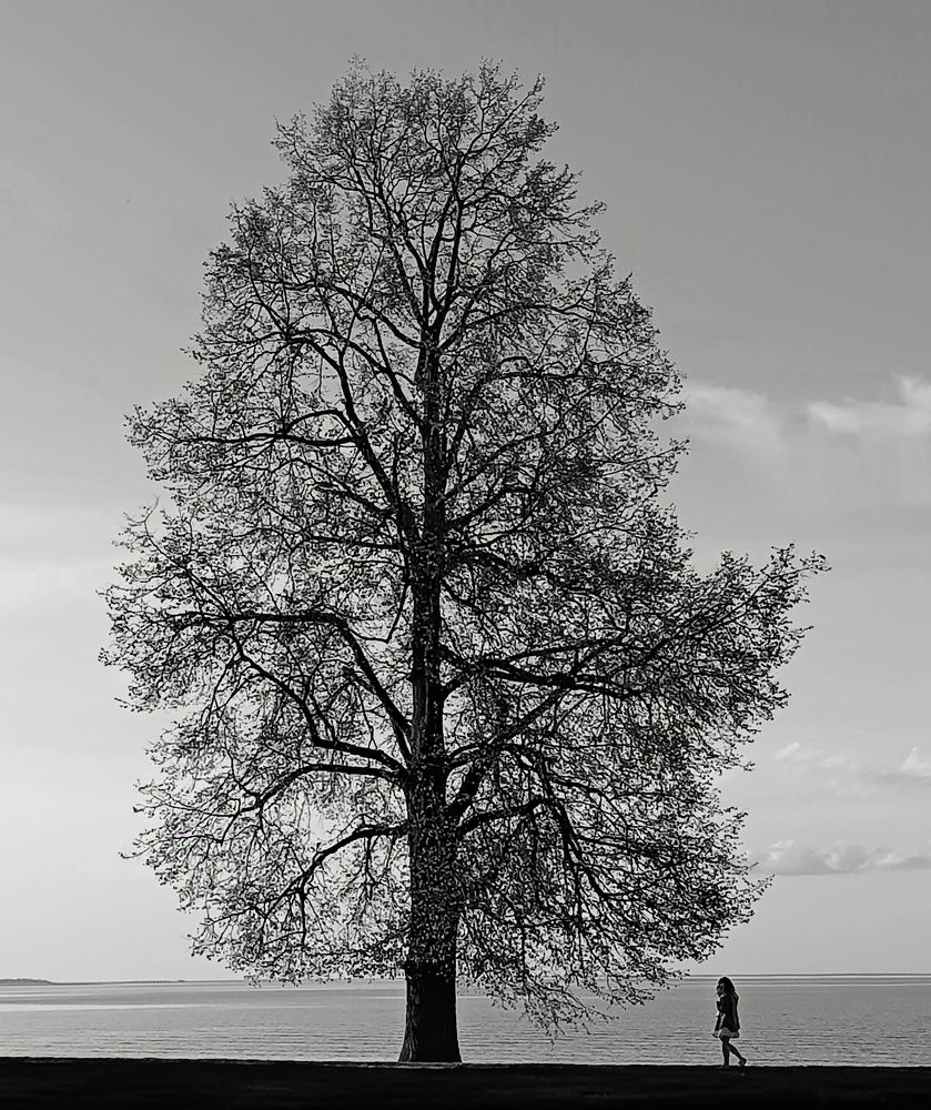 Photograph by Olga Kot