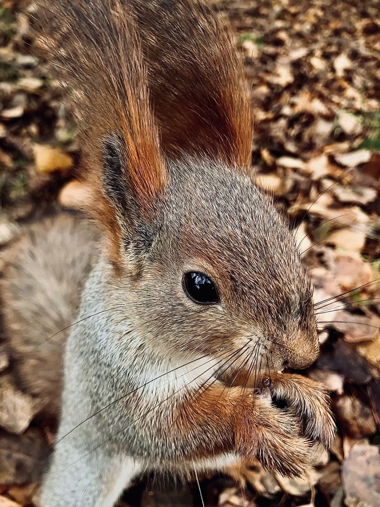 Photograph by Мария Карпычева