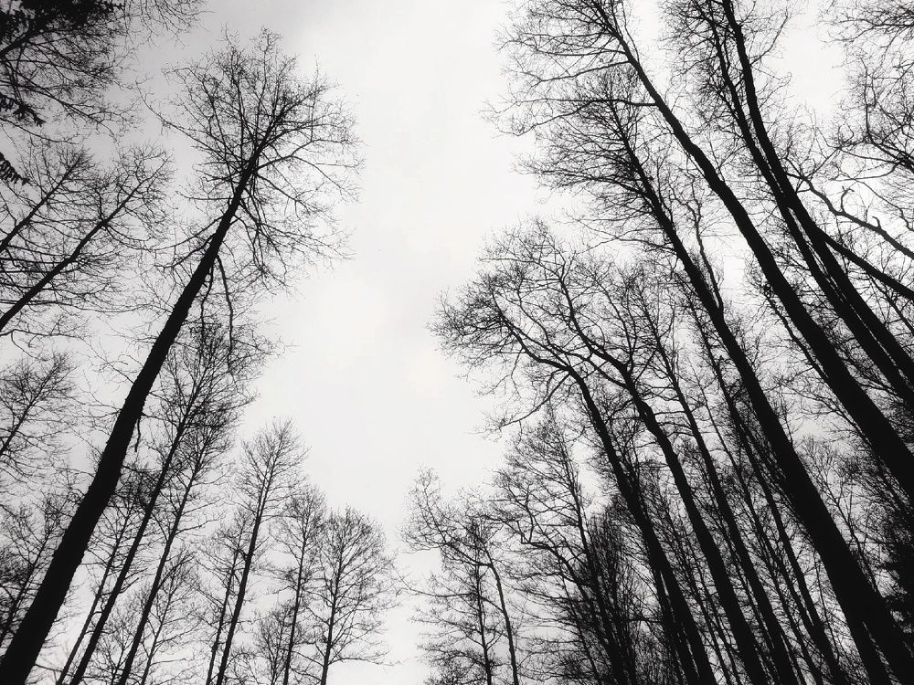 Фотография автора Ольга Маслова