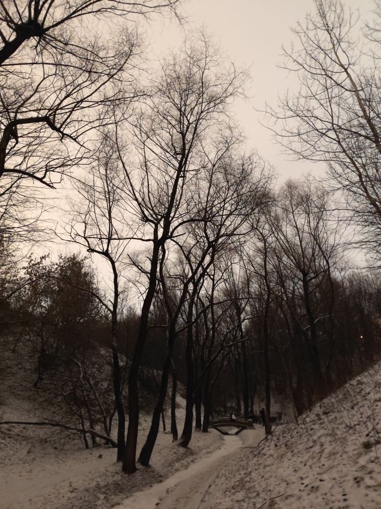 Фотография автора Ольга Маслова