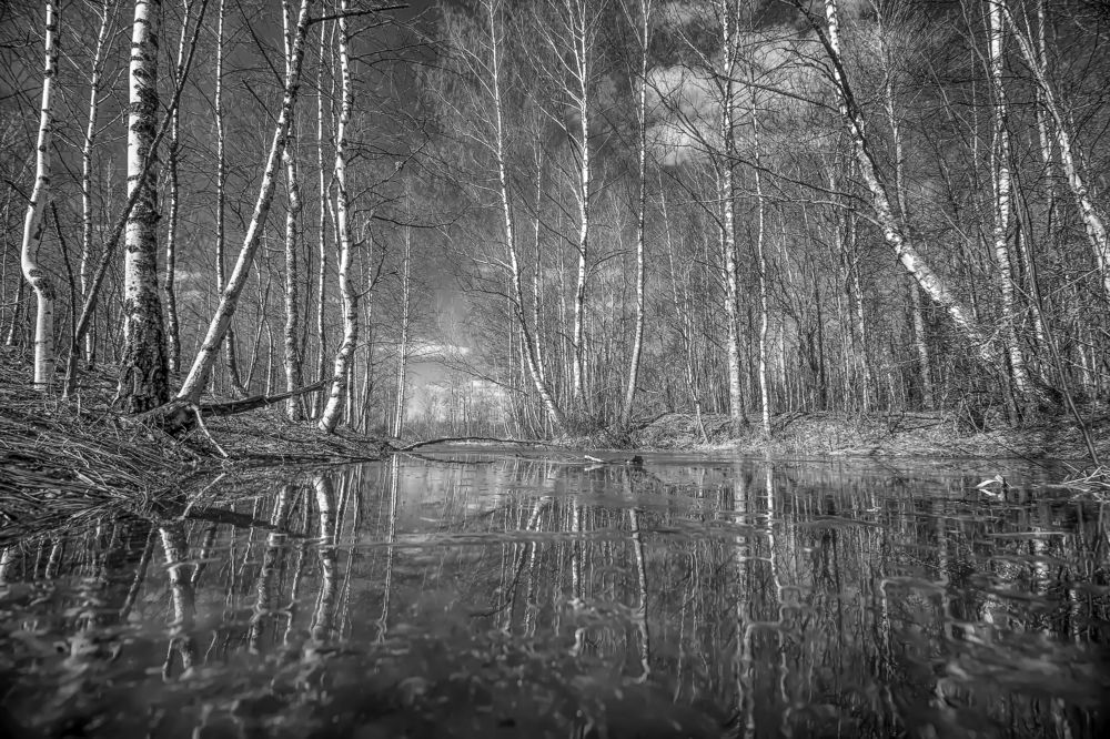 Photograph by Татьяна Феденкова