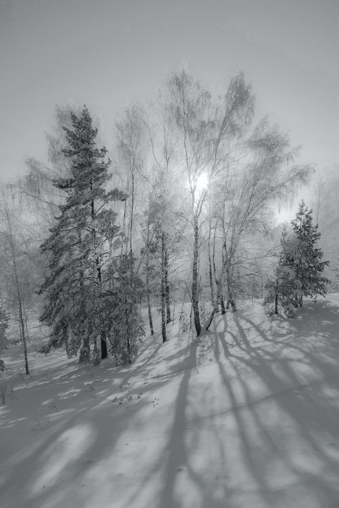 Photograph by Чичкин Валерий