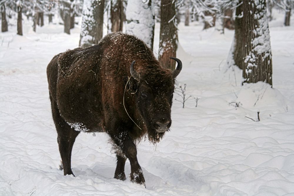 Photograph by DUBINA LEONID