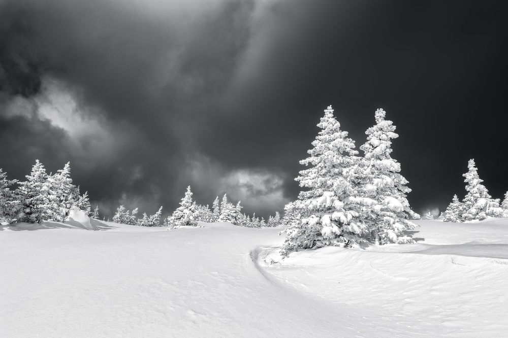 Photograph by Соколова Елена