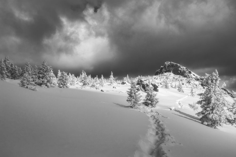 Photograph by Соколова Елена