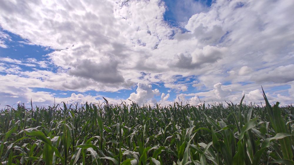 Photograph by Вячеслав Щёголев